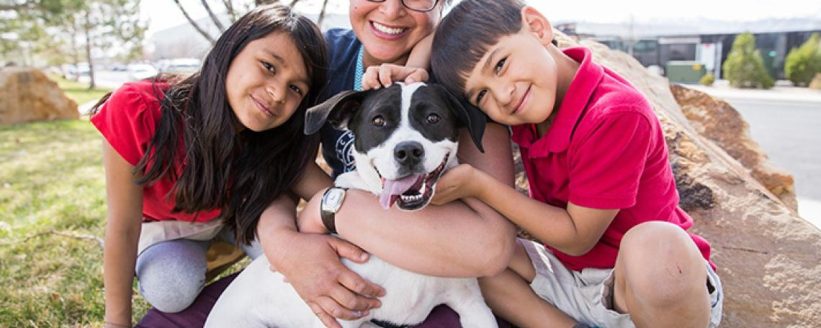 why adopt a pet shelter adoption family stock photo