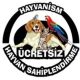 hayvanizm